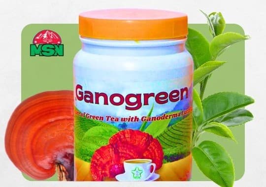 Product Development - Mushroom research in Nepal